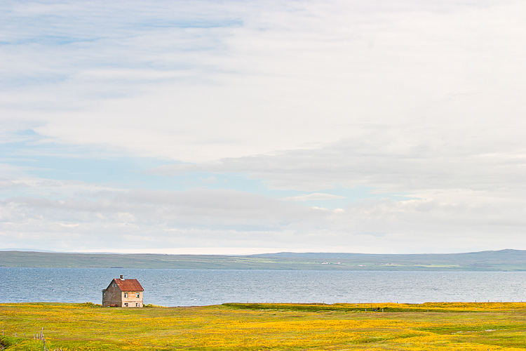 Iceland 2994